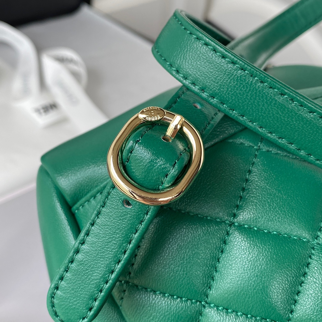 Lambskin Mini Backpack AS2908 Green